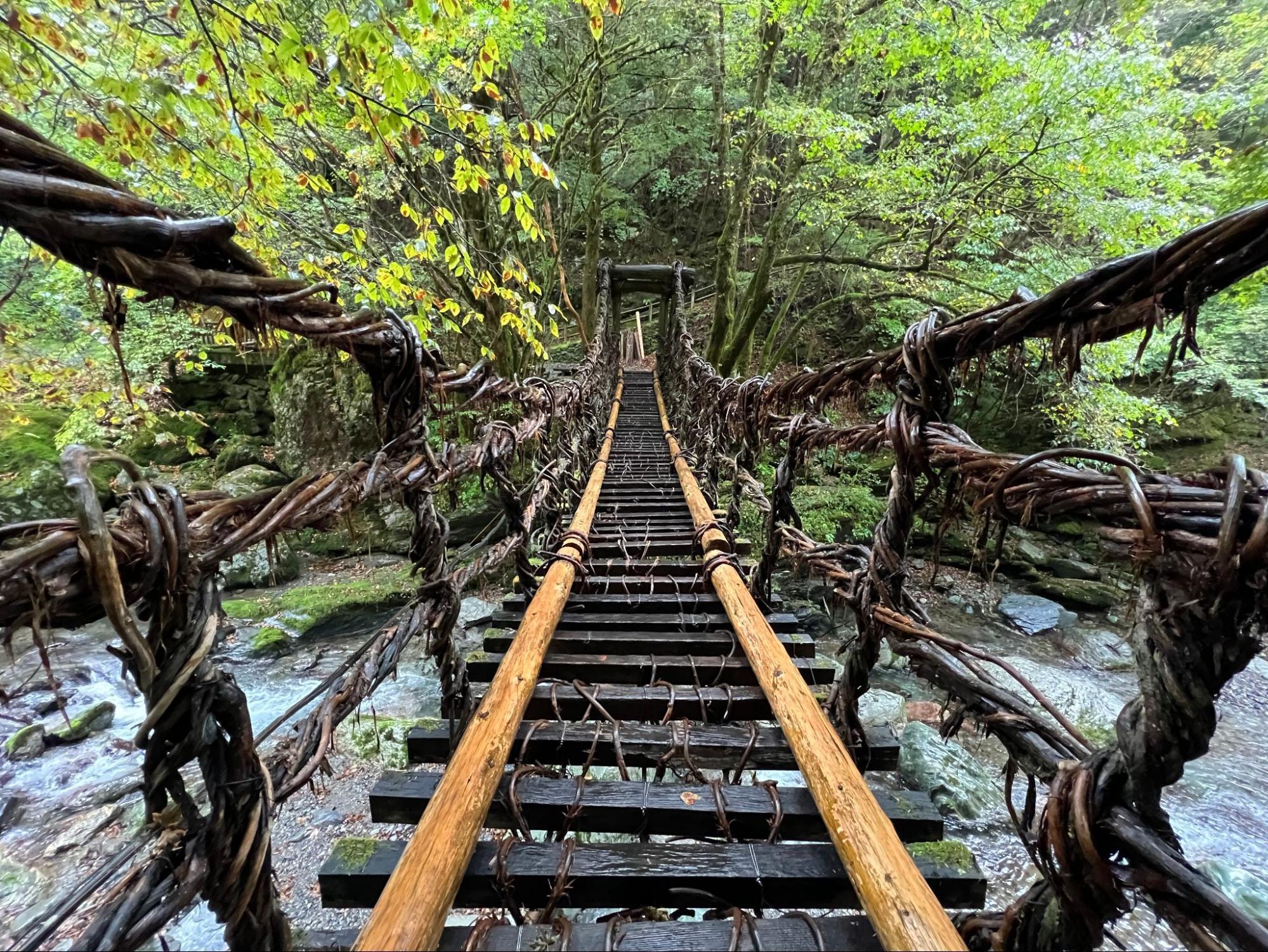 50 Best Places To Travel In 2024: In The U.S. And Abroad – Forbes ...