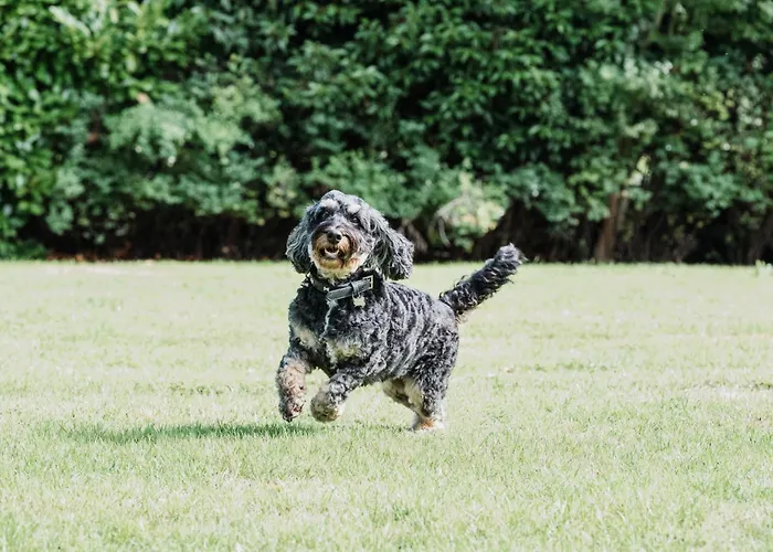 Best Hotels in Quaint Wetherby, Yorkshire's Gem