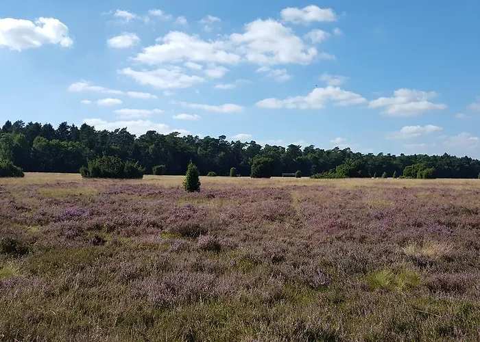 Hotel Stelle Marine Rezensionen